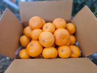 양애숙님의 작성글 사진