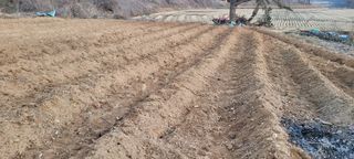 한성님의 자유주제 · 자유게시판 작성글 사진