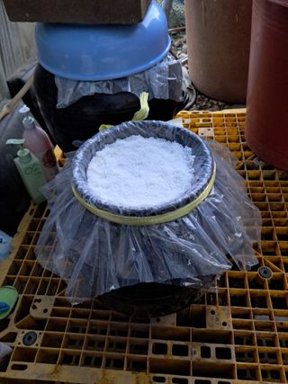 마평 농원님의 자유주제 · 자유게시판 작성글 사진