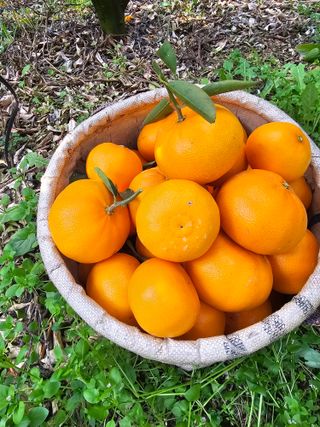 양애숙님의 작성글 사진