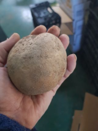 양헌국님의 작성글 사진