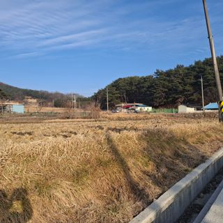 오영도님의 자유주제 · 자유게시판 작성글 사진