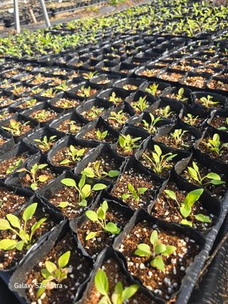 약초원 김종군님의 자유주제 · 자유게시판 작성글 사진