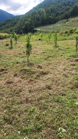 팜모닝 비료 보관 방법 공유해요·참여글 게시글 이미지