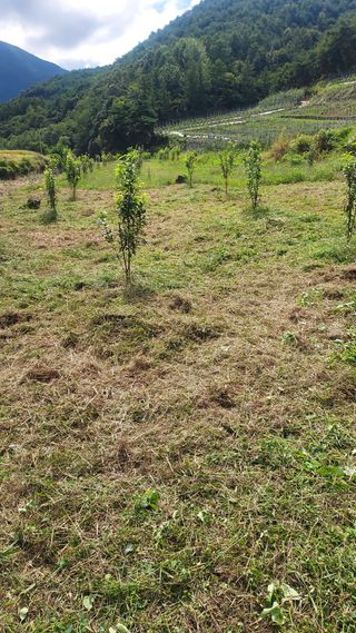 윤성수님의 비료 보관 방법 공유해요 · 참여글 작성글 사진
