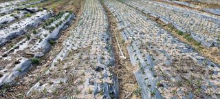 블루베리17119님의 자유주제 · 자유게시판 작성글 사진