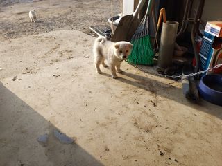 태일농산이정수님의 자유주제 · 자유게시판 작성글 사진