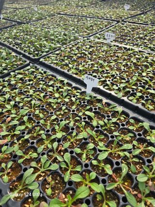 약초원 김종군님의 자유주제 · 자유게시판 작성글 사진