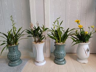 구마수 뻐어나갈 수님의 비료 보관 방법 공유해요 · 참여글 작성글 사진