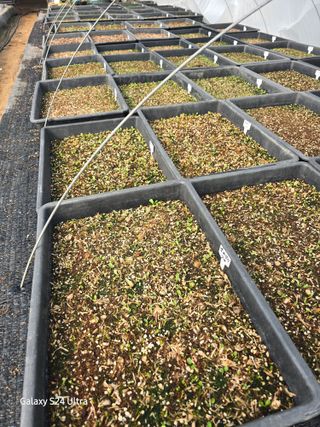 약초원 김종군님의 자유주제 · 자유게시판 작성글 사진