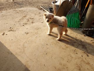 태일농산이정수님의 자유주제 · 자유게시판 작성글 사진