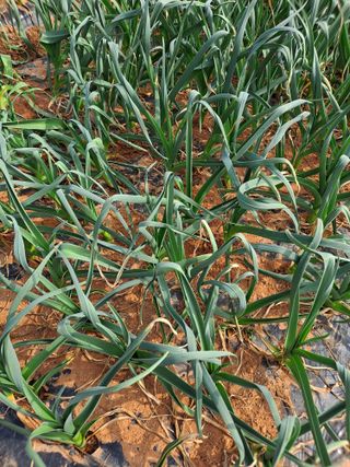 윤흥상님의 자유주제 · 자유게시판 작성글 사진