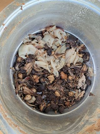 마평 농원님의 자유주제 · 자유게시판 작성글 사진