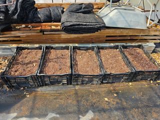 홍천산채농원님의 자유주제 · 자유게시판 작성글 사진