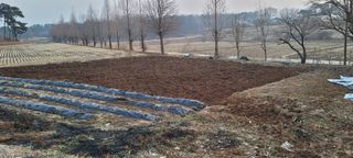 한성님의 자유주제 · 자유게시판 작성글 사진