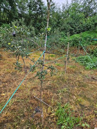 윤영식님의 자유주제 · 자유게시판 작성글 사진