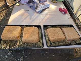 마평 농원님의 자유주제 · 자유게시판 작성글 사진