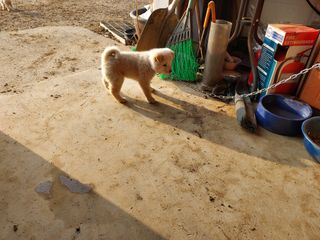 태일농산이정수님의 자유주제 · 자유게시판 작성글 사진