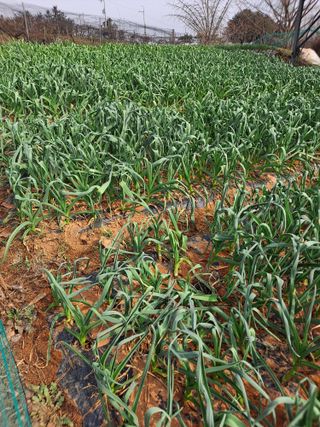 윤흥상님의 자유주제 · 자유게시판 작성글 사진