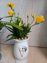 팜모닝 비료 보관 방법 공유해요·참여글 게시글 이미지