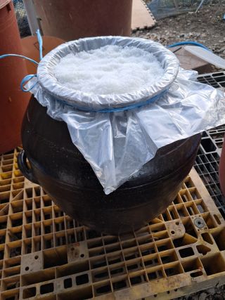 마평 농원님의 자유주제 · 자유게시판 작성글 사진