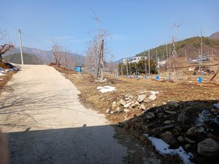 알 수 없음님의 자유주제 · 자유게시판 작성글 사진