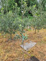 팜모닝 자유주제·자유게시판 게시글 이미지