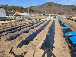 임영길님의 자유주제 · 자유게시판 작성글 사진