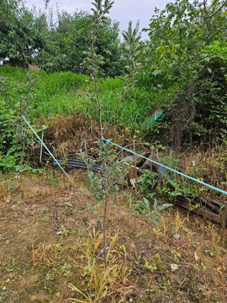 윤영식님의 자유주제 · 자유게시판 작성글 사진