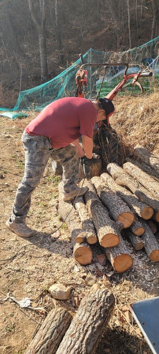 이태희님의 자유주제 · 자유게시판 작성글 사진