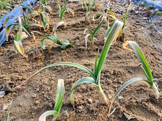 김용석님의 자유주제 · 자유게시판 작성글 사진