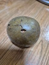 팜모닝 자유주제·자유게시판 게시글 이미지