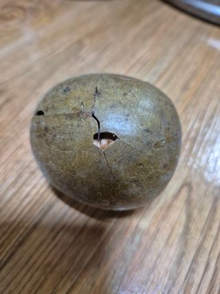 마늘16716님의 자유주제 · 자유게시판 작성글 사진