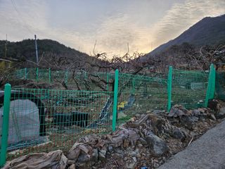 베리딱좋아님의 자유주제 · 자유게시판 작성글 사진