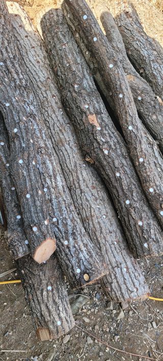 이태희님의 자유주제 · 자유게시판 작성글 사진