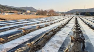 최용운님의 자유주제 · 자유게시판 작성글 사진