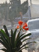 팜모닝 자유주제·자유게시판 게시글 이미지