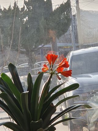 권기은님의 자유주제 · 자유게시판 작성글 사진