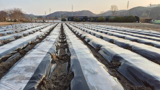 최용운님의 자유주제 · 자유게시판 작성글 사진