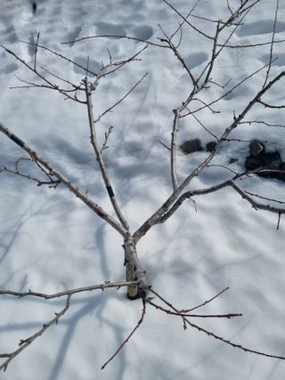 김용대님의 자유주제 · 자유게시판 작성글 사진