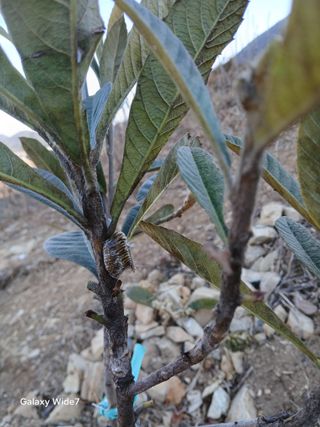 김명자님의 작성글 사진