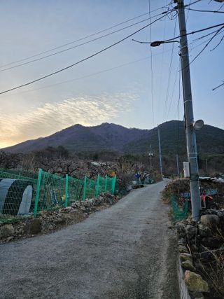 베리딱좋아님의 자유주제 · 자유게시판 작성글 사진