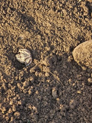 _고성농장님의 자유주제 · 자유게시판 작성글 사진