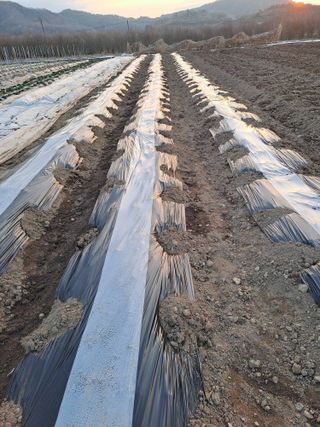 성실한 농부님의 자유주제 · 자유게시판 작성글 사진