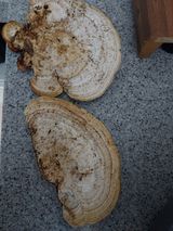 팜모닝 자유주제·자유게시판 게시글 이미지