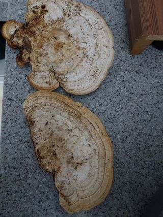 오상운님의 자유주제 · 자유게시판 작성글 사진