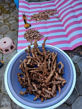 상원(尙沅)님의 자유주제 · 자유게시판 작성글 사진