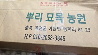 들깨고추아줌마님의 자유주제 · 자유게시판 작성글 사진