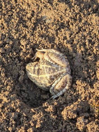 _고성농장님의 자유주제 · 자유게시판 작성글 사진