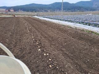 성실한 농부님의 자유주제 · 자유게시판 작성글 사진
